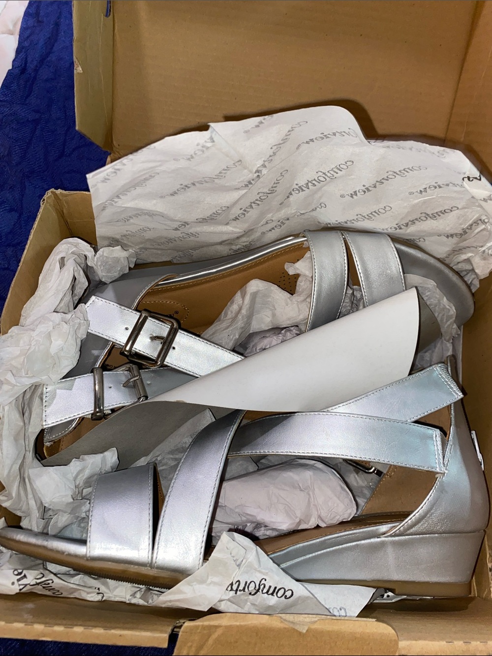 Silver Strappy Wedge Sandals